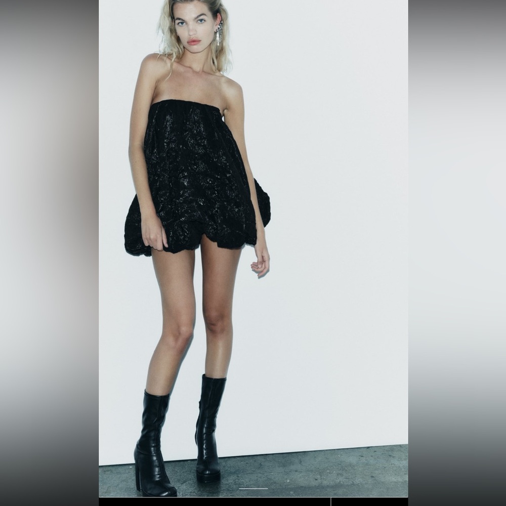 Zara organza mini dress